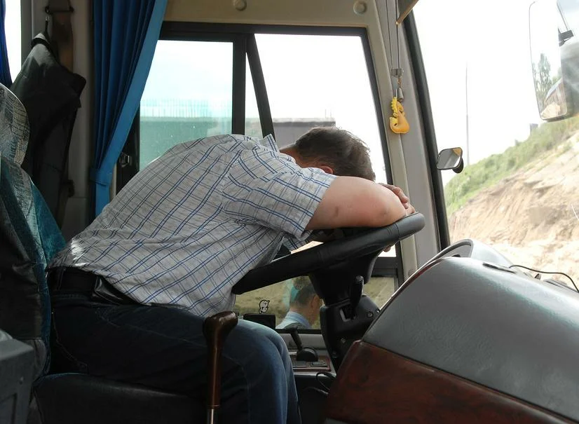 Изображение из публичного доступа в сети Интернет