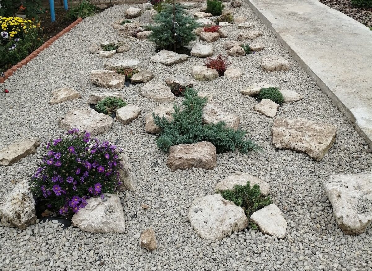 Рождение рокария