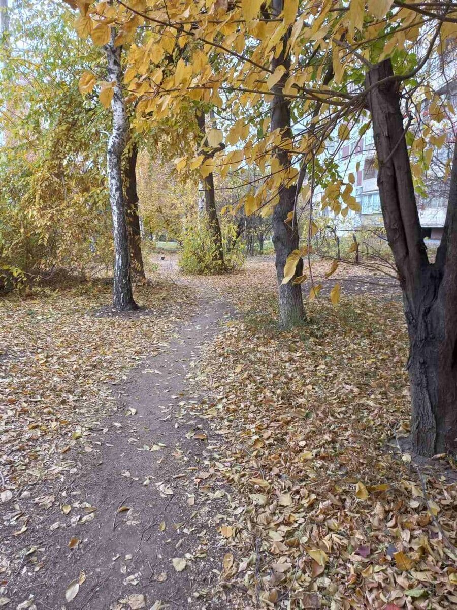 Фото автора.