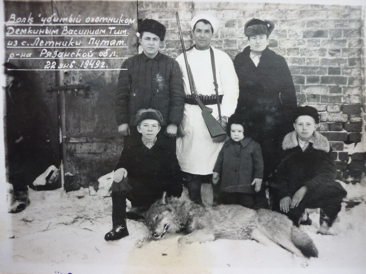 Здравствуйте, мои дорогие читатели. Я сам родился и вырос в городе, но, как у всех обычных детей, у меня была бабушка в деревне), к которой я ездил на каникулы...-11