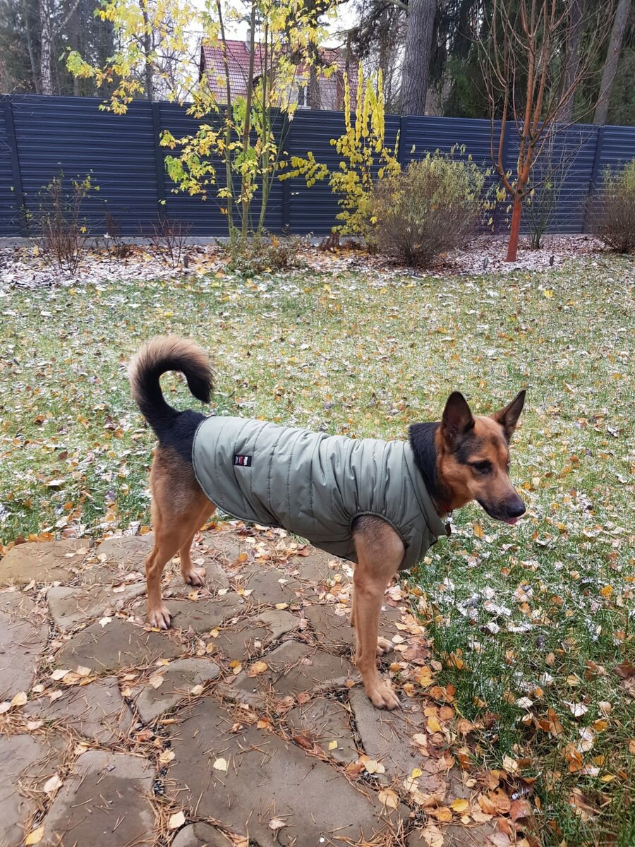 Тая на даче