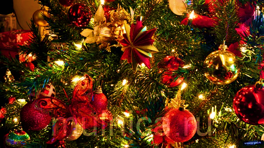 Как и когда появился обычай ставить новогоднюю елку?