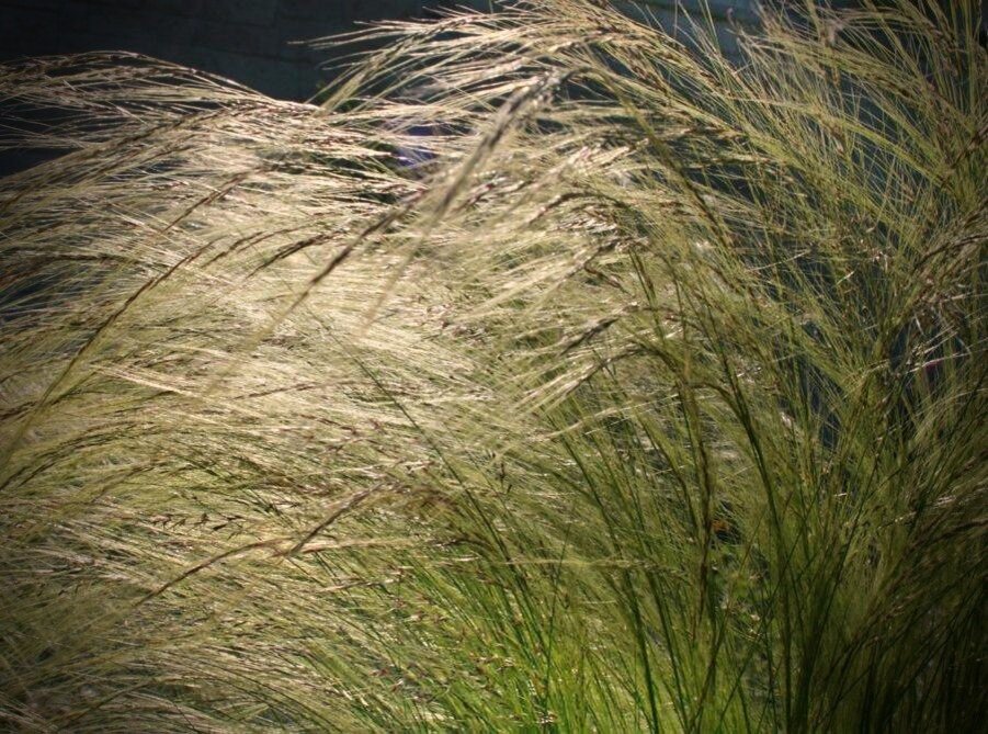 фото не мое