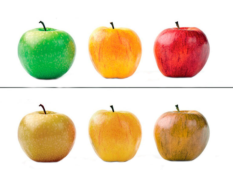 Так видят дальтоники