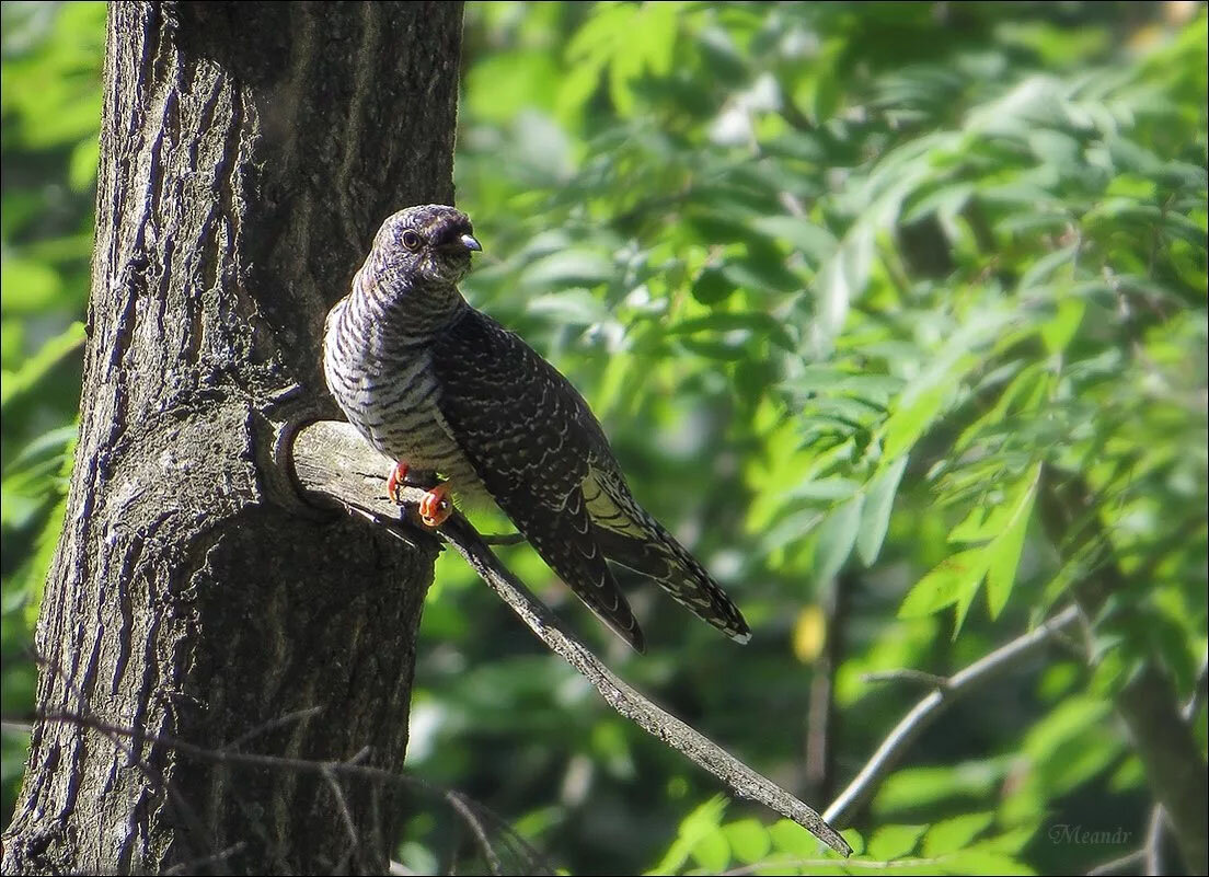 (мистика просто какая-то...)