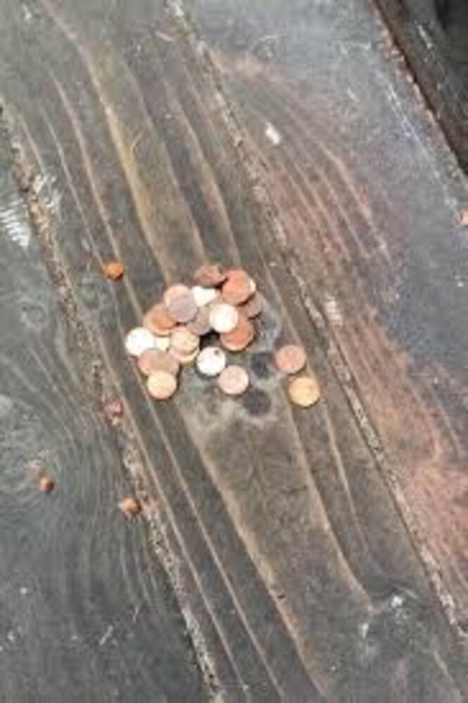 Это "заработок" за один вороний день