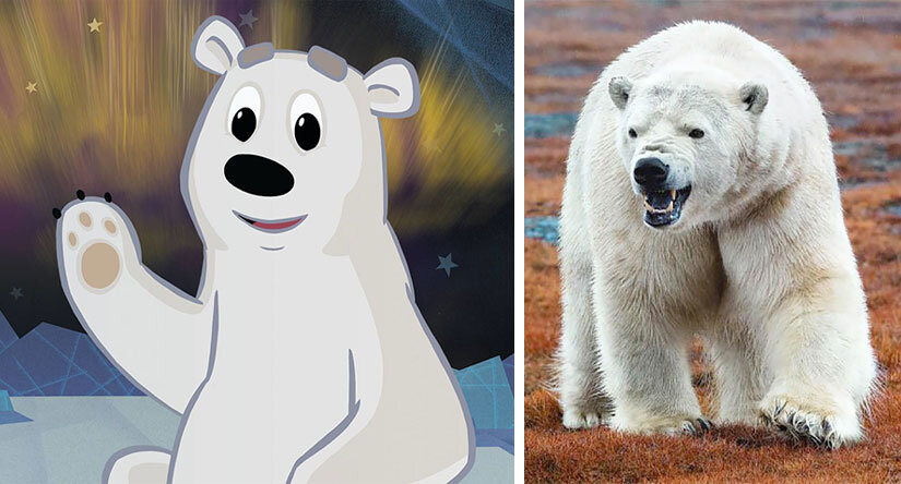 Реальный белый медведь отличается от мультяшного Умки