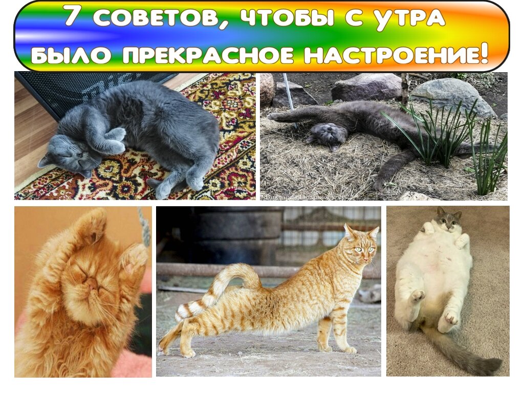 7 советов, чтобы с утра  было прекрасное настроение!
