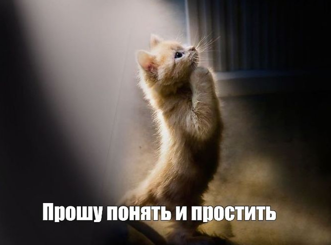 Мем с котом прощай Итоги года: подборка лучших мемов о главных событиях в крае (ФОТО) Новости Хаб