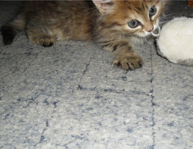 На передержке