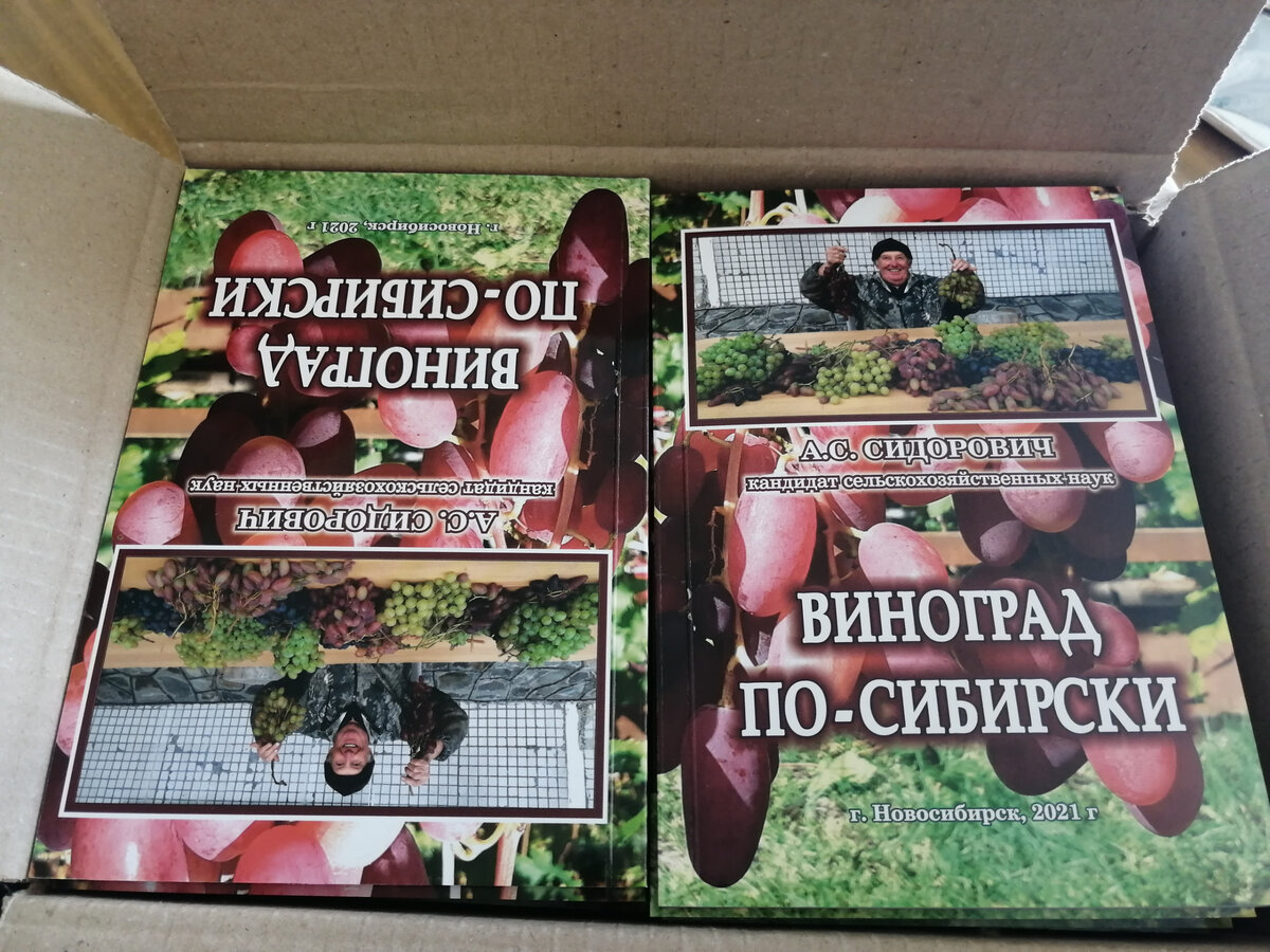 Офсетная печать книг в мягком переплете на заказ