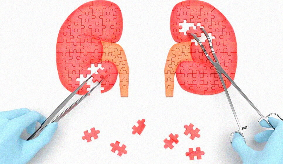 Яндекс.Картинки