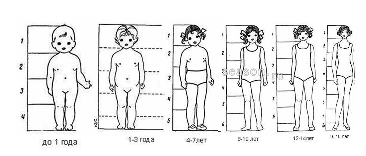 Схема роста девочек. Пропорции ребенка 7 лет схема. Пропорции тела ребенка по возрастам. Пропорции ребенка 5 лет. Пропорции тела ребенка 5 лет.
