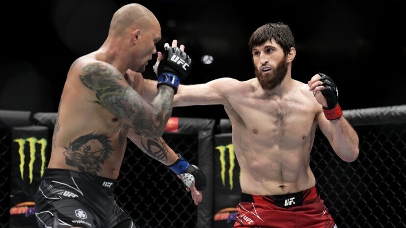    Бойцы UFC Энтони Смит и Магомед Анкалаев Gettyimages.ru Chris Unger / Contributor