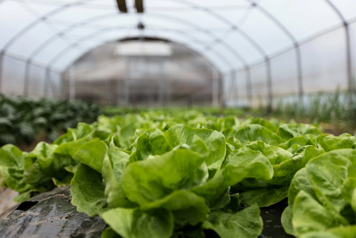 Источник фото: eurobrico.com