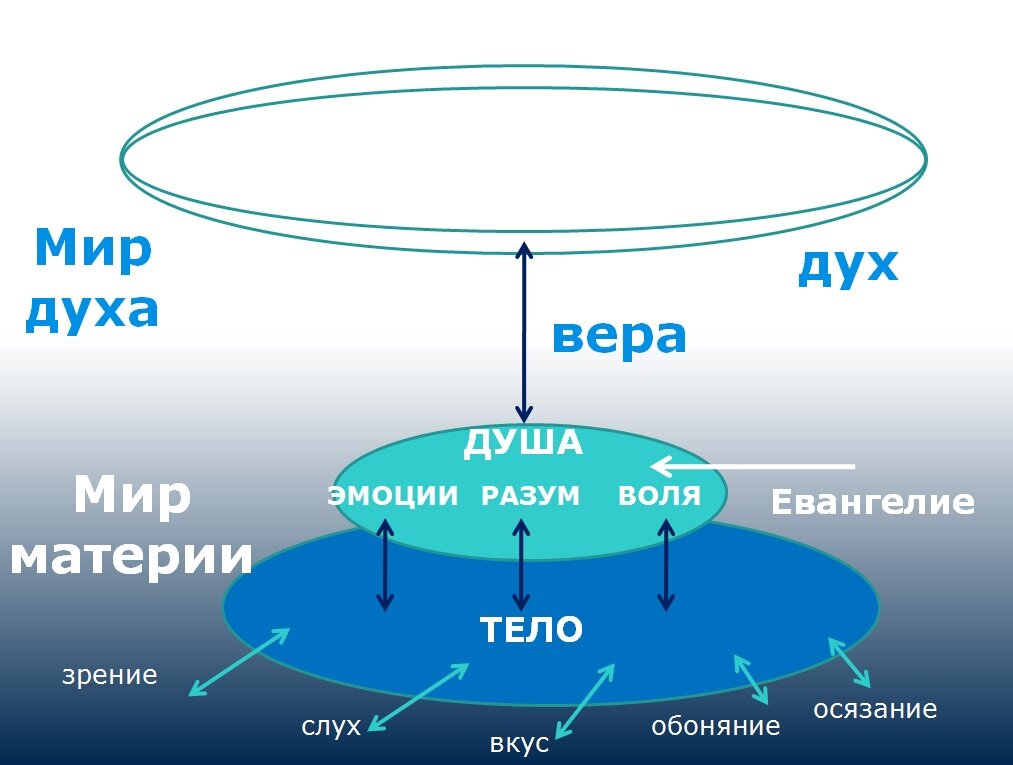 Книги дух душа. Дух, душа и тело. Человек дух душа тело. Дух душа и тело схема. Триединство дух душа тело.