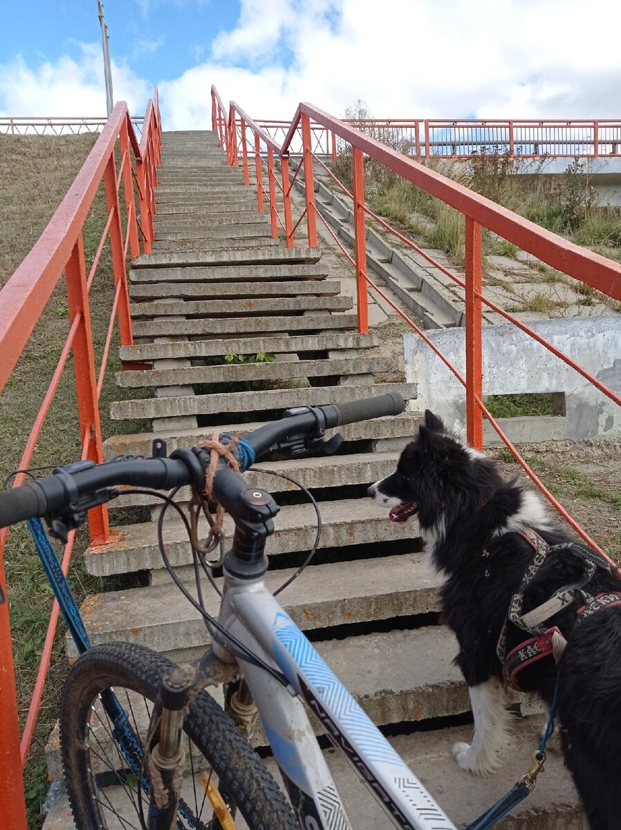 У подножия моста