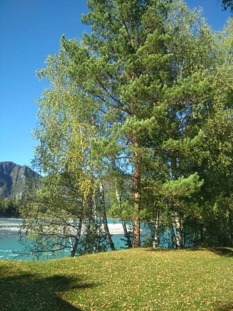 Бирюзовая Катунь в сентябре