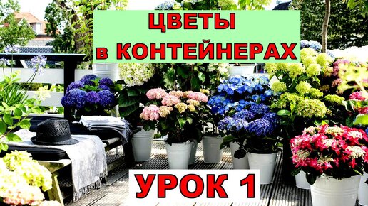 Download Video: Урок 1. Что такое контейнерный сад. Преимущества выращивания культур в контейнерах.