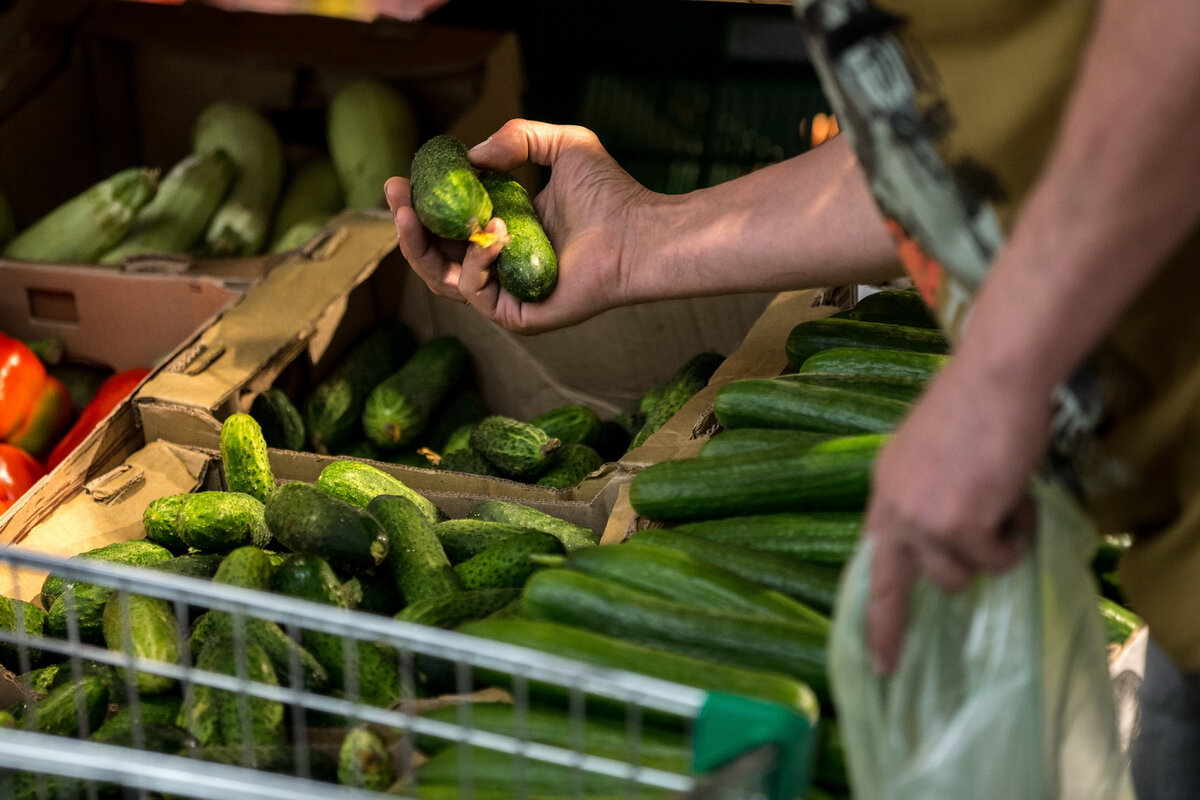   
 Фото: Евгений Разумный/«Ведомости«/ТАСС