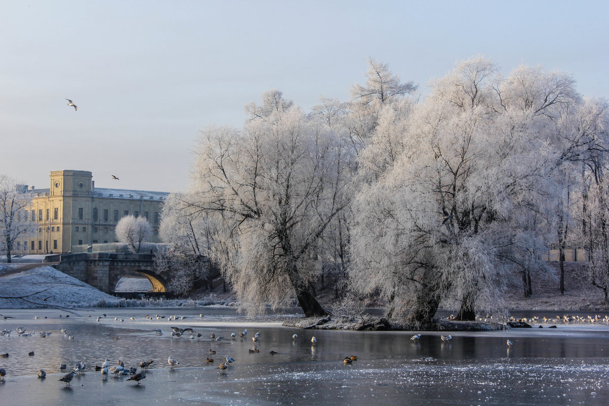 ©Алёнка Шапран / fotokto.ru