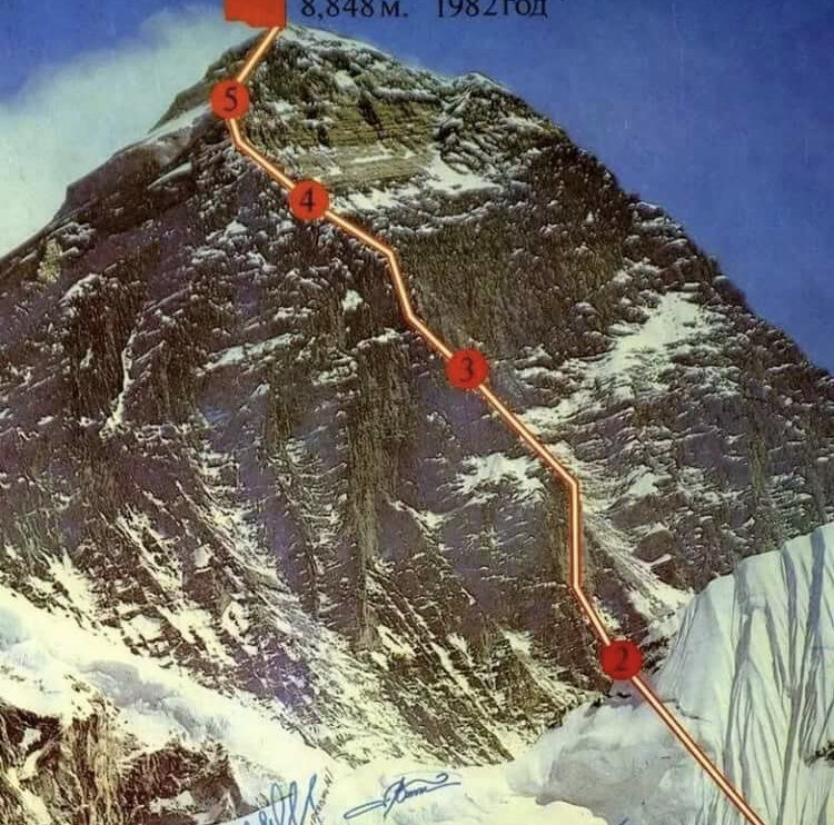 Яндекс. Картинки 