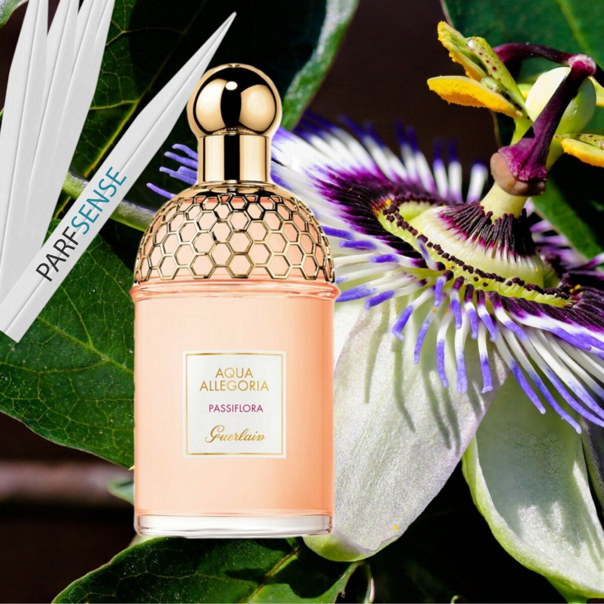 Guerlain Aqua Allegoria Passiflora