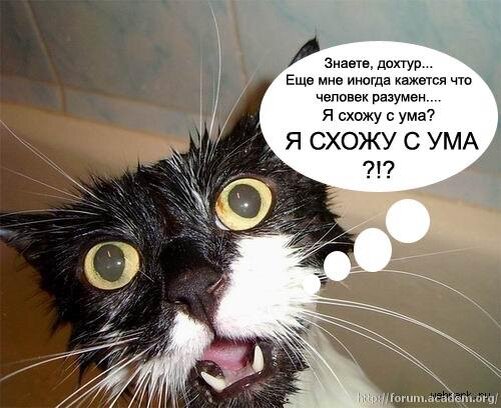 Картинка из интернета