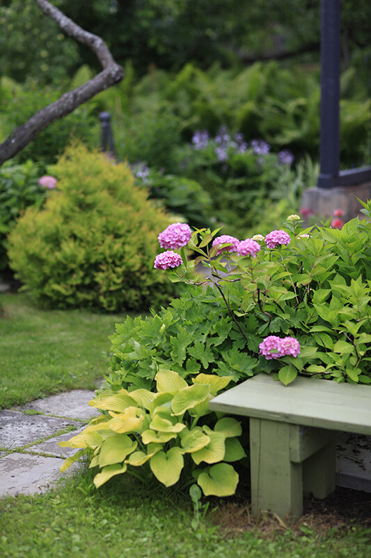 Фотография Ирины Чадеевой