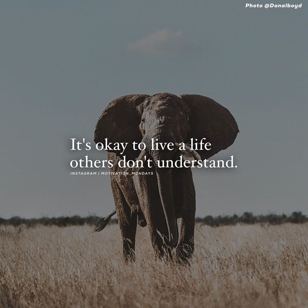 𝓙𝓪𝓿𝓲𝓴 𝓢𝓪𝔂𝓸𝓷𝓪𝓻𝓪