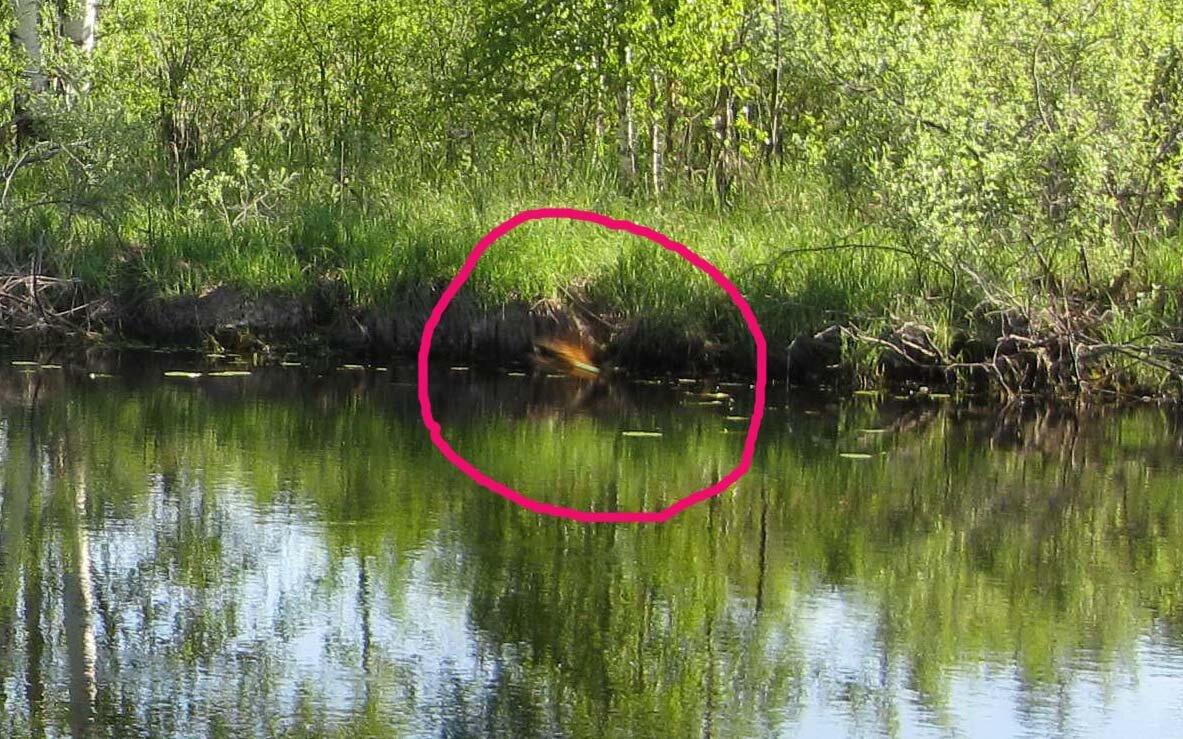 Из личного архива