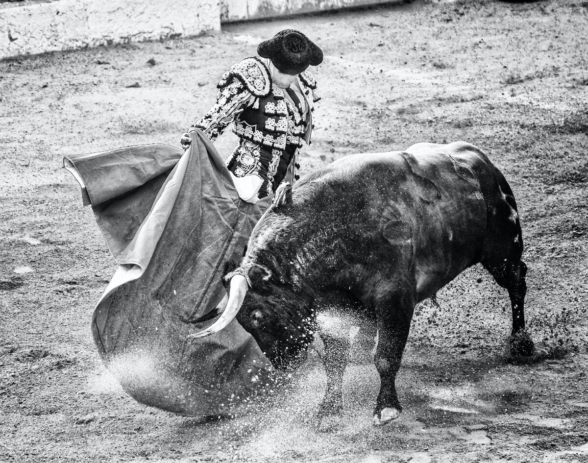 Фото Stephane YAICH 