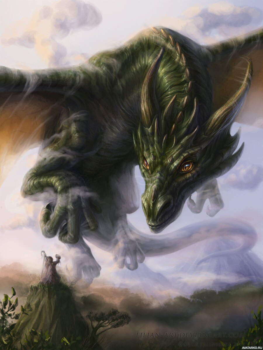 фото из открытых источников