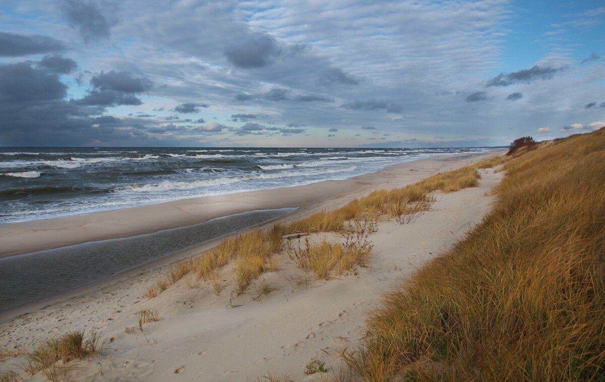 Куршская коса