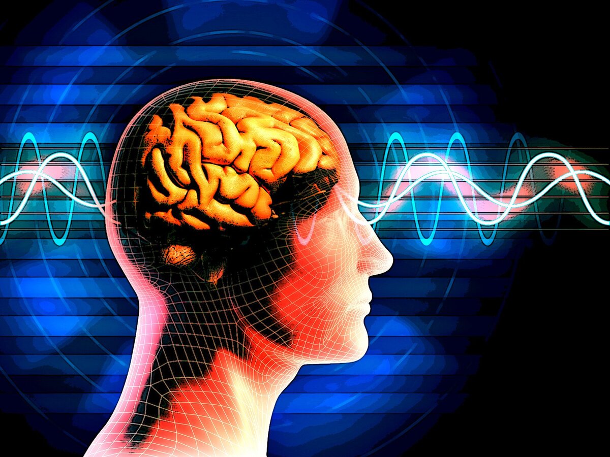 3 умных знака зодиака