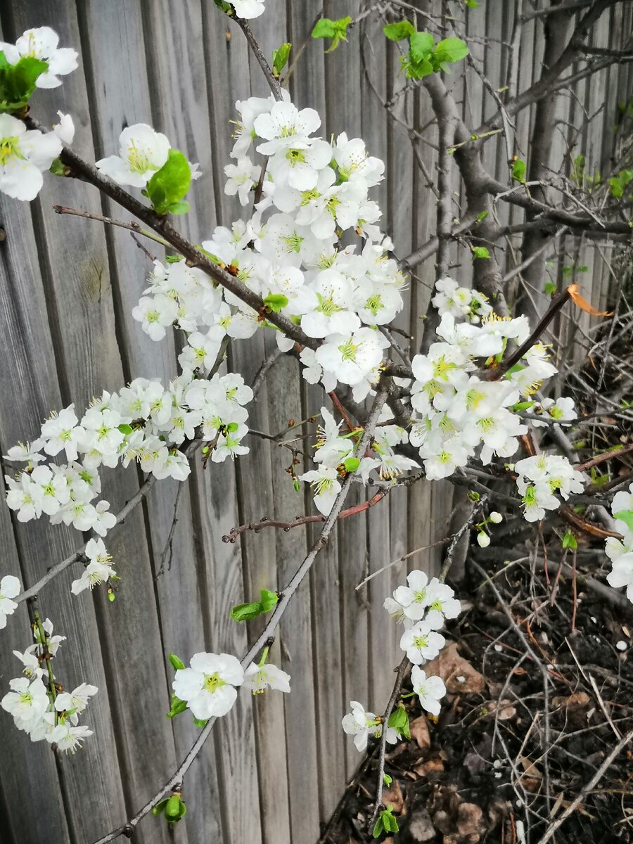 Фото из личного архива