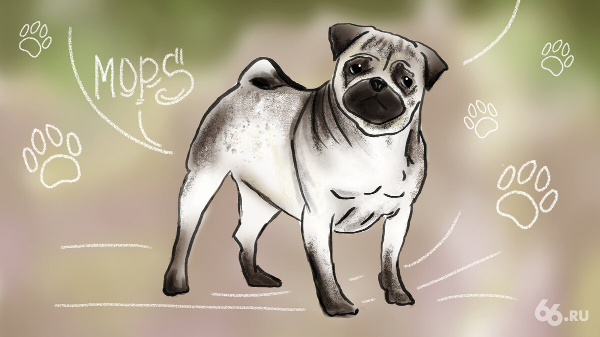 Фото: Анна Коваленко, 66.RU