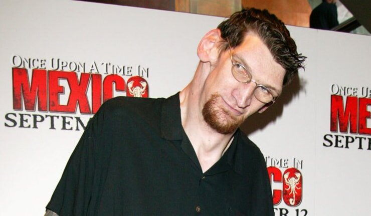 Звёзды на Голливудских холмах встречаются всех цветов и размеров, но есть среди них и по-настоящему огромные. Ниже представлен список самых высоких актёров Голливуда.