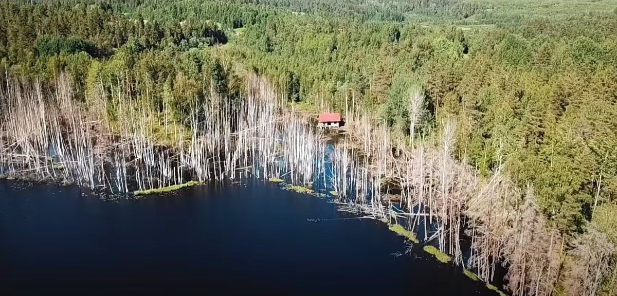 последствия потопа