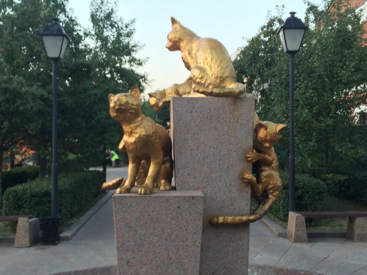 Памятники кошкам фото. Сквер сибирских кошек Тюмень. Кошачий сквер Калуга. Памятник кошкам в Тюмени. Сквер сибирских кошек Тюмень фото.