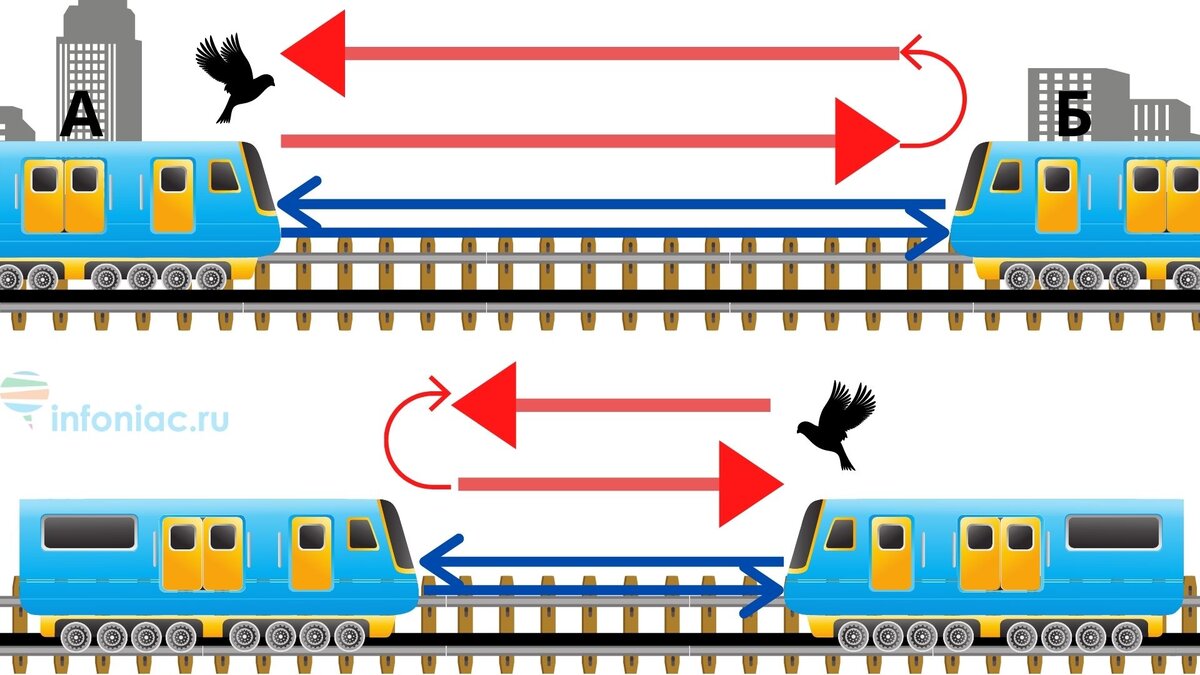 Только самый сообразительный решит задачу с двумя поездами | Инфониак |  Интересно и полезно | Дзен