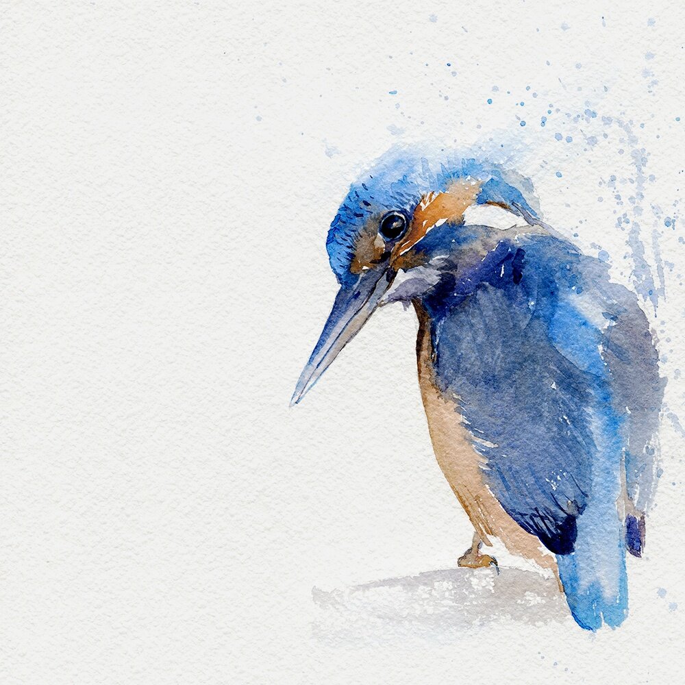 Использование пары дополнительных цветов