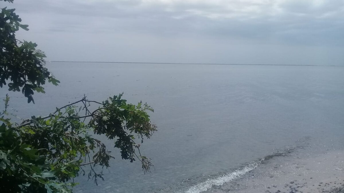 Личное. Волга и правда есть. Целое Волгоградское водохранилище. Это не море, чтоб все знали. Это - Волга до ГЭС.