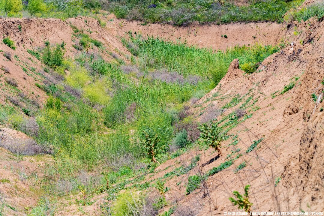 от кяхты до села хошун узур. круглые низкие холмы распаханные. скалистый массив храпы. зверево скалы. дальше идут степные места удивительный вид.