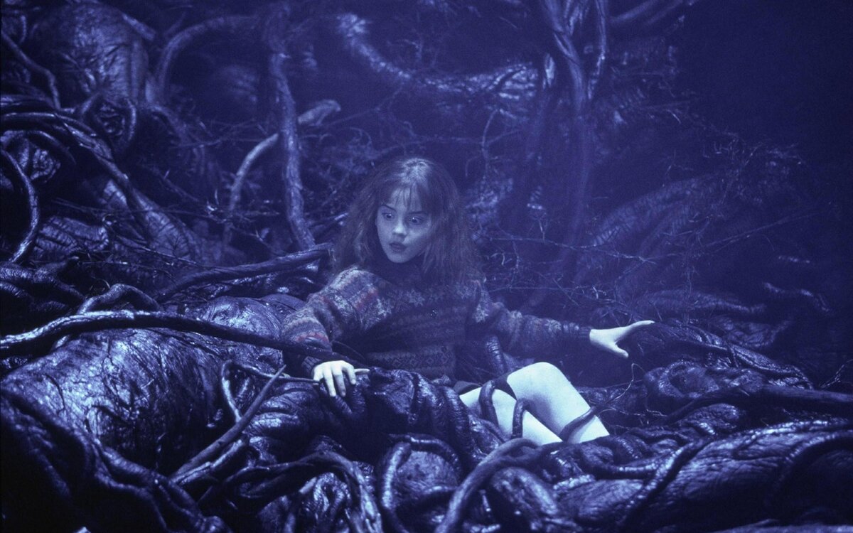 Фото с сайта multifandom.ru