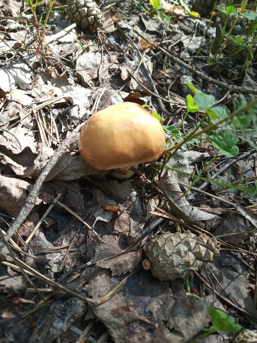 Фото из личного архива