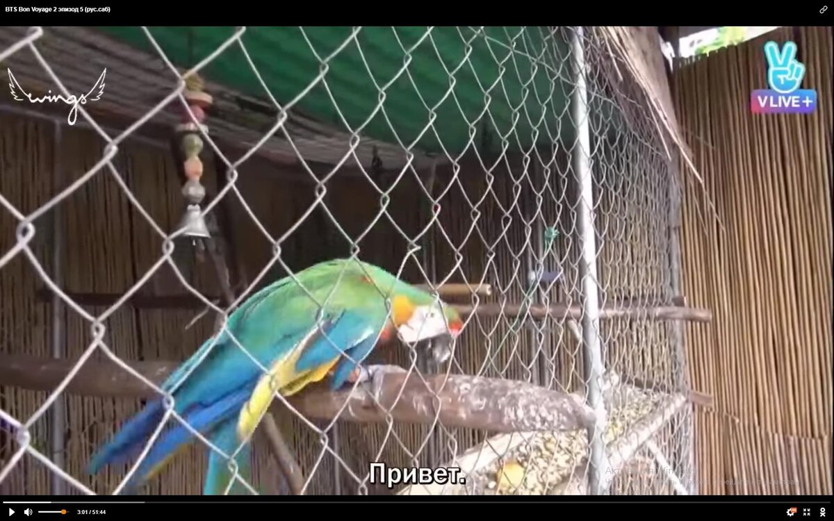 BTS. Bon Voyage. Season 2. Episode 5.