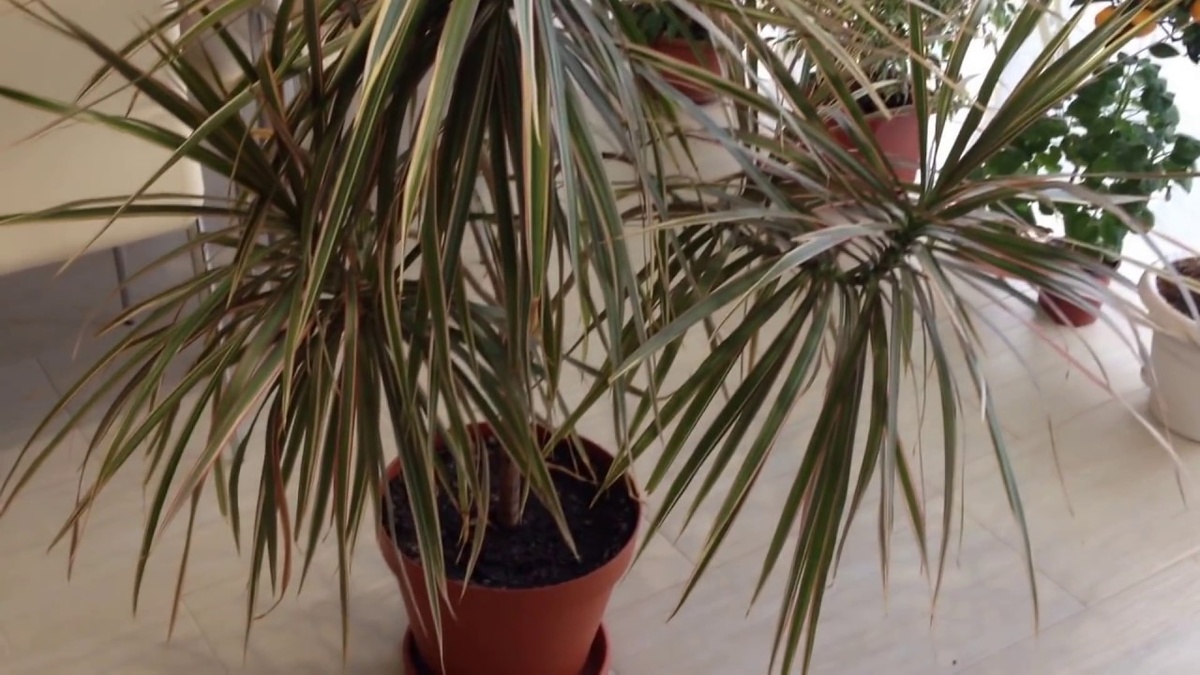 Источник: yandex.ru