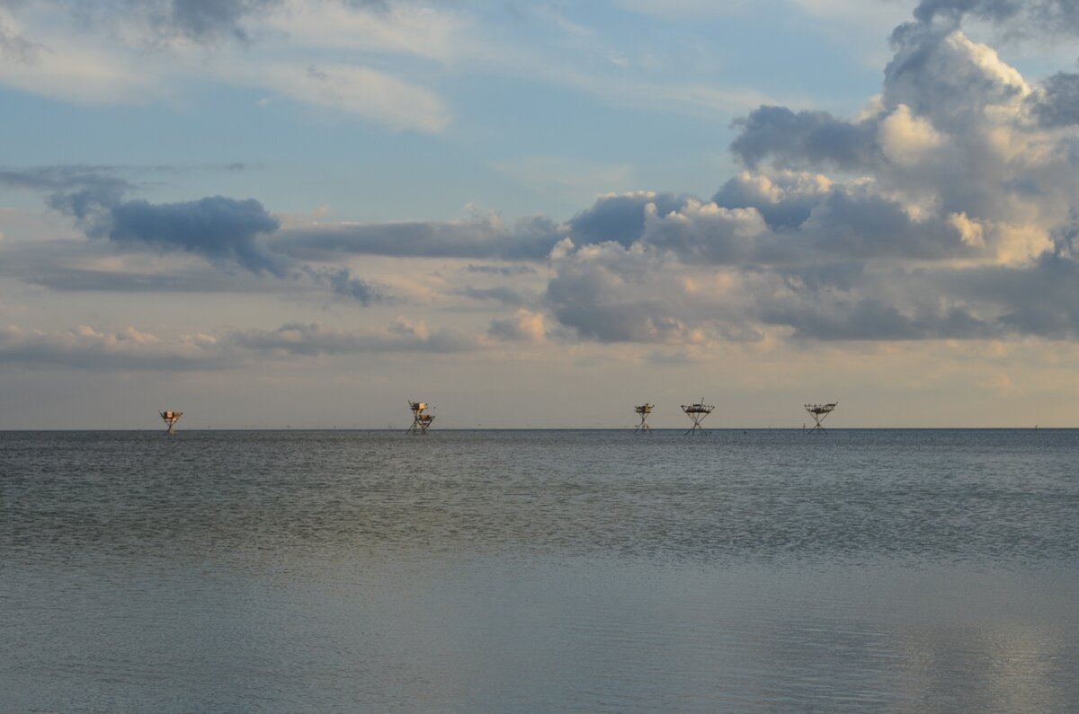 Рыбацкие вышки, на стойках которых растут мидии