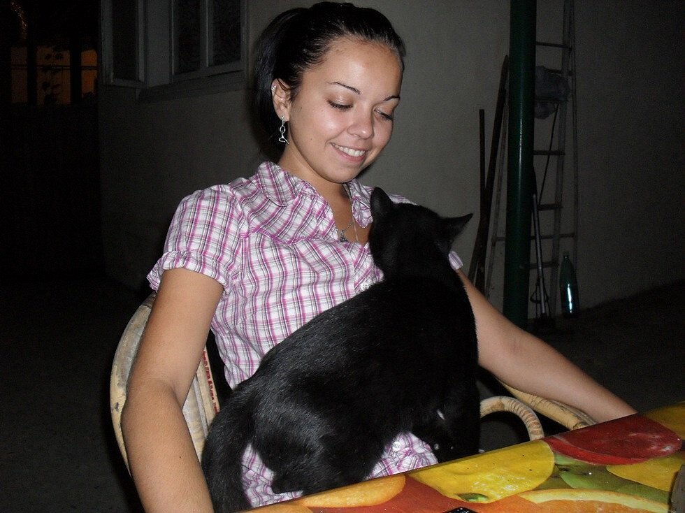 Это кот Тигр, он жил в гостевом доме, где мы снимали комнату.